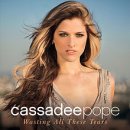 Cassadee Pope - Wasting All These Tears 이미지