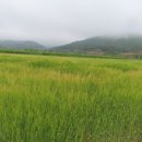 녹색화원 이미지