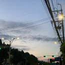에트리엘 | 2주 연속 부산 출장을 가는 사람이 있다?! 아니요 부산 여행