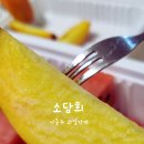 소담희 네이버블로그
