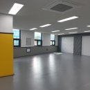 지성체육관(태권도) 이미지