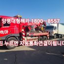 양평특수견 이미지