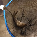 아마존실내낚시터 이미지