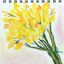 드로잉&오일 파스텔 배우기 이미지