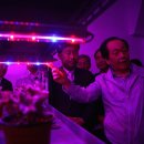 첨단농장 이미지