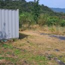 신니면사무소 이미지