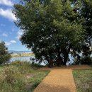 강나루체육공원 이미지