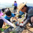 하점초등학교 이미지