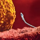 KINGDOM'S GYM 이미지