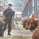 천두농장 이미지