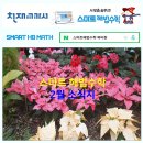 스마트해법수학 - 전주시 완산구 범안1길 36 | 스마트해법수학