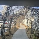 채문 | "소소래"다녀온 후기