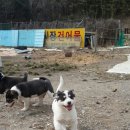라이카