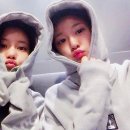 데칼코마니 이미지