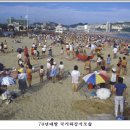 해운대