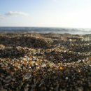 켈리포니아 이미지