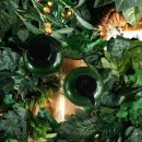 헤어  in 이미지