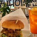 썬파크텔 이미지