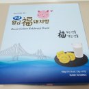 복돼지 - 홍성군 월산1길 44 | 부산 황금복돼지빵 후기 | 부산 여행 선물 부산 기념품 추천