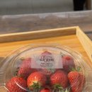 진현농장 이미지