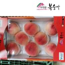 백도 네이버블로그