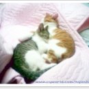 간석3동-10 이미지