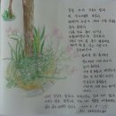 대풍이네 이미지