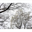 가온갤러리 이미지