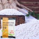 하늘가애 이미지