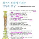 SNPE 바른자세 척추운동 이미지