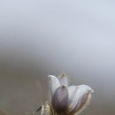 거성태권도 이미지