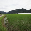 강변쉼터 민박 이미지