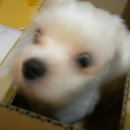 몽글몽글 이미지