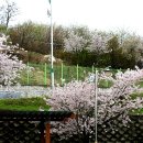 승학체육공원 이미지