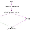 오리고기 당뇨에 괜찬나요?? 이미지