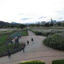 태화강국가정원 이미지