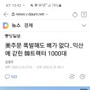 동양물산 이미지