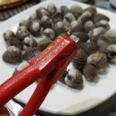 마시리 이미지