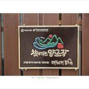 배혜정도가 이미지