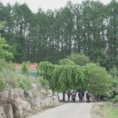 꽃차 소믈리에로의 초대 이미지