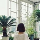지지지 이미지