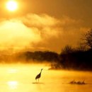 (주)우리동산 이미지