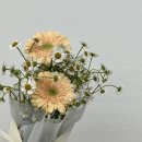 식당까지! 성공적인 기념일을 만들고 싶다면? &lt;디어로즈무드&amp;성신여대 별관&gt;｜내돈내산 솔직 후기💐