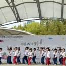 늘품태권도 이미지