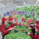 화순고려병원 | 평안한 일상, 화순주간보호도곡부모돌봄복지센터에서 부모님이 안심할 수 있는 이유