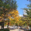 용산양지공인중개사사무소 이미지