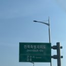 봄의향연 | 2024. 봄의 향연