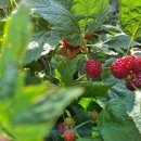 가산농장 이미지