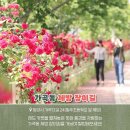 삼문동둔치주차장 이미지