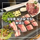복돼지네 | 성정동 삼겹살 복돼지 이틀 연속 방문했던 솔직 후기